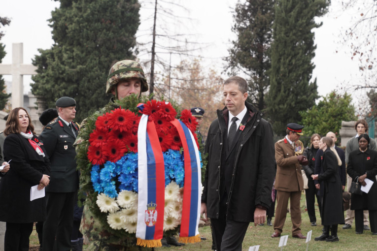 Sećanje na kraj Velikog rata: Đurić i ambasadori položili vence u Beogradu (FOTO)