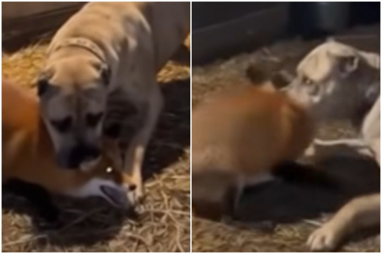 Vozači, vozite sporije - magla smanjuje vidljivost,mokri kolovozi otežavaju vožnju