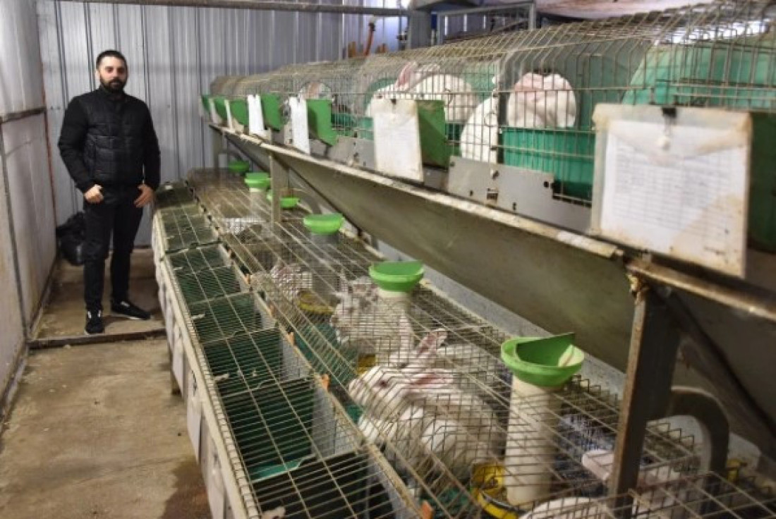 Milan radi samo za elitne klijentelu: Najzdravije meso uskoro i na velikoj farmi kod Rume (FOTO)