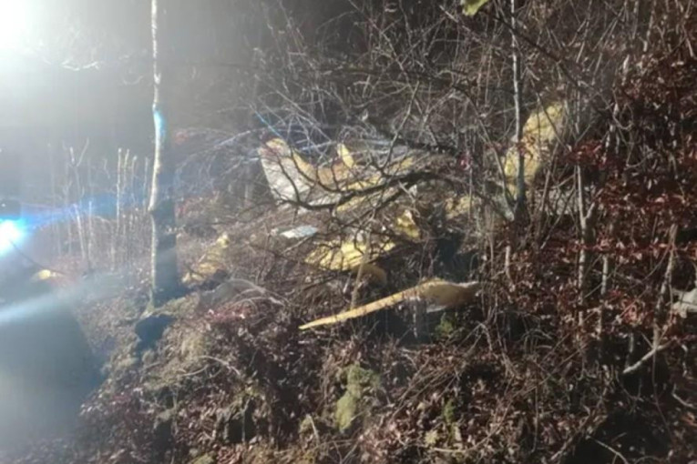 Prve slike sa mesta nesreće gde se srušio avion u Hrvatskoj: Evo šta su zatekli vatrogasci! (FOTO/VIDEO)