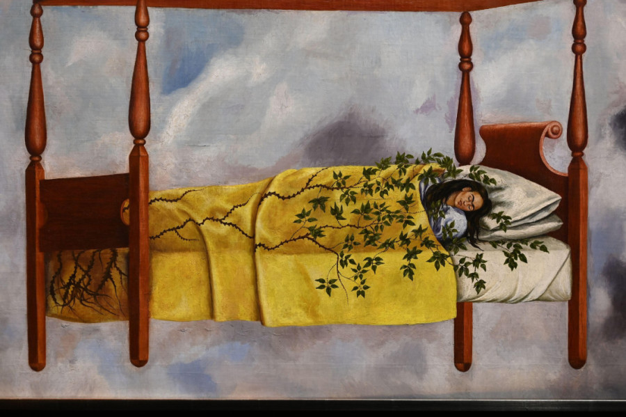 Frida Kalo i veliki kostur koji spava na njenom krevetu: Slika koja bi mogla da obori rekord na aukciji (FOTO)