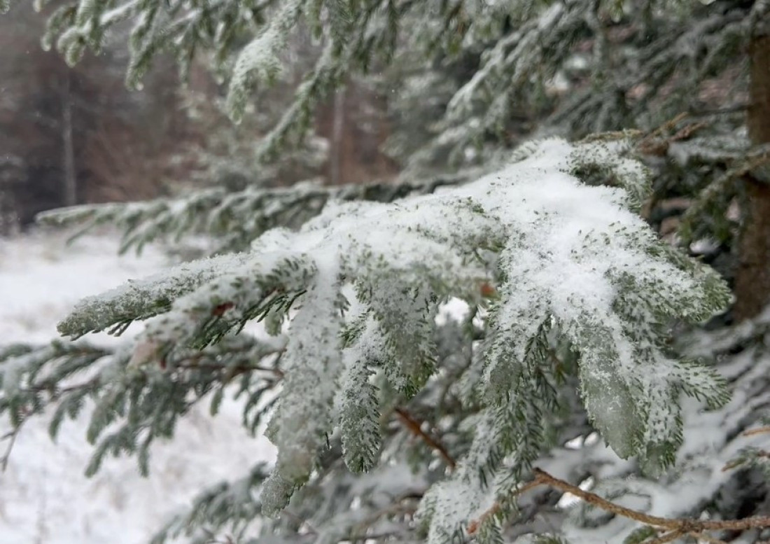 Predsednik objavio video nakon posete Sečnju: "Trinaest godina vlasti, mnogo toga smo uradili" (VIDEO)