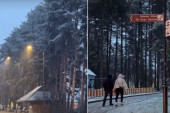 Vejavica divlja na Zlatiboru: Kiša se pretvorila u sneg, ulice pobelele za pola sata!
