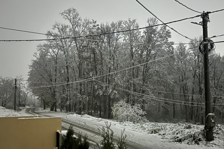 Liberali kroz pravosuđe upravljaju državama: Vučević: Našli su način da kontrolišu procese u nekoj državi ne učestvujući na izborima