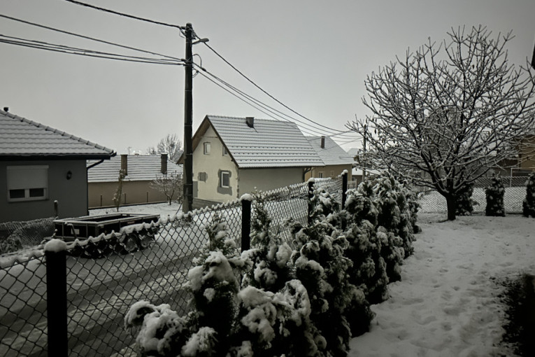 Novi šef OEBS-a u Beogradu: Vučić nakon sastanka sa Peškom -  Srbija ozbiljno i odogovorno pristupila sprovođenju preporuka ODIHR  (FOTO)