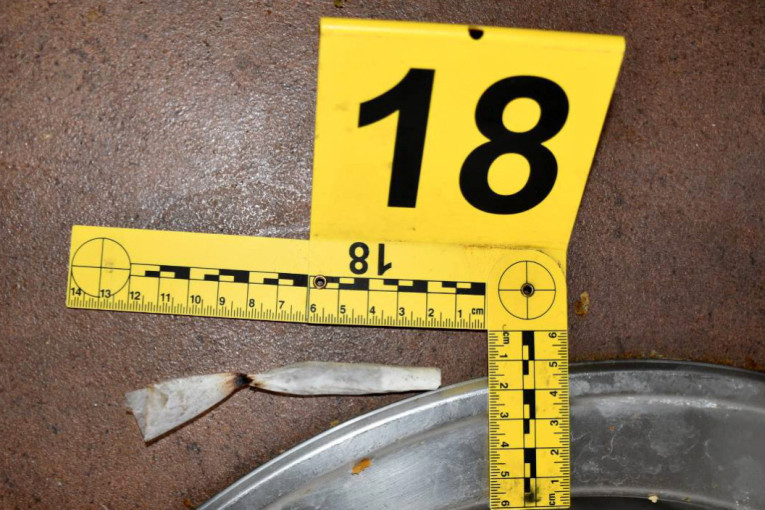 "Naša lista ima najbolje ljude": Lider SNS u poseti Negotinu- Penzionerima poslao jasnu poruku