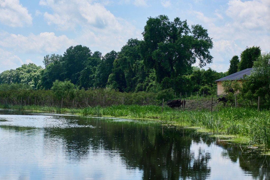 Inovacije koje dišu s prirodom: Povratak života u najlepša vlažna staništa Srbije