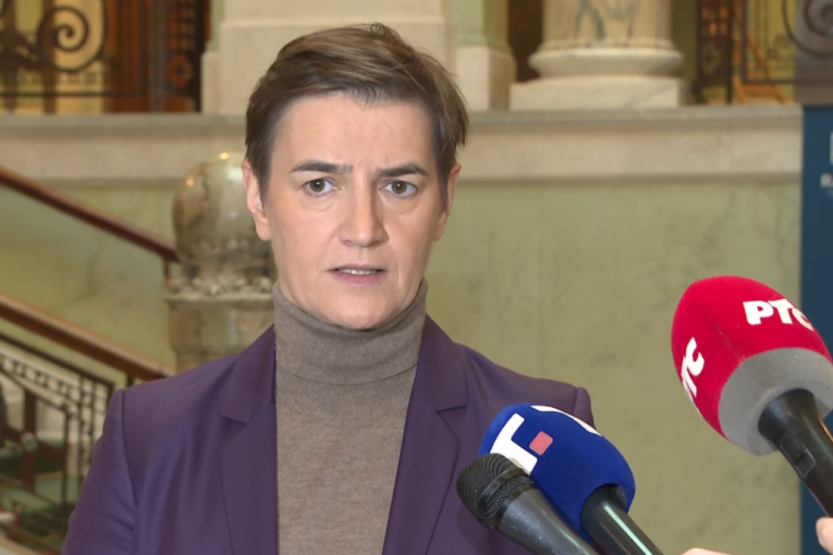 Brnabić se obratila javnosti: Nisu ni hteli da uđu u Skupštinu, pesnicom su udarili devojku i krenuli da ruše šatore u "Ćacilendu" (VIDEO)