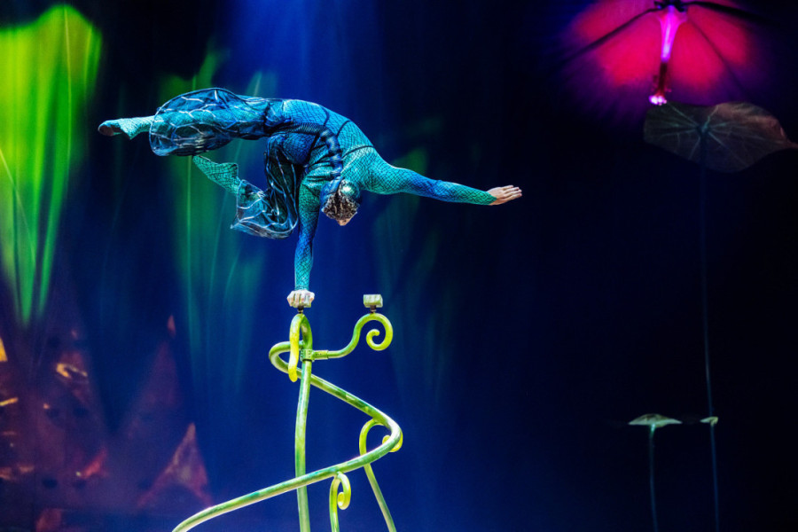 Novogodišnja čarolija uz Cirque du Soleil: 20 odsto popusta na predstavu "OVO"