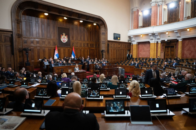 U Skupštini o budžetu za 2026. godinu: Mali - Za kapitalne investicije 6,7 odsto BDP-a, poljoprivredi 147,5 milijardi dinara (VIDEO)