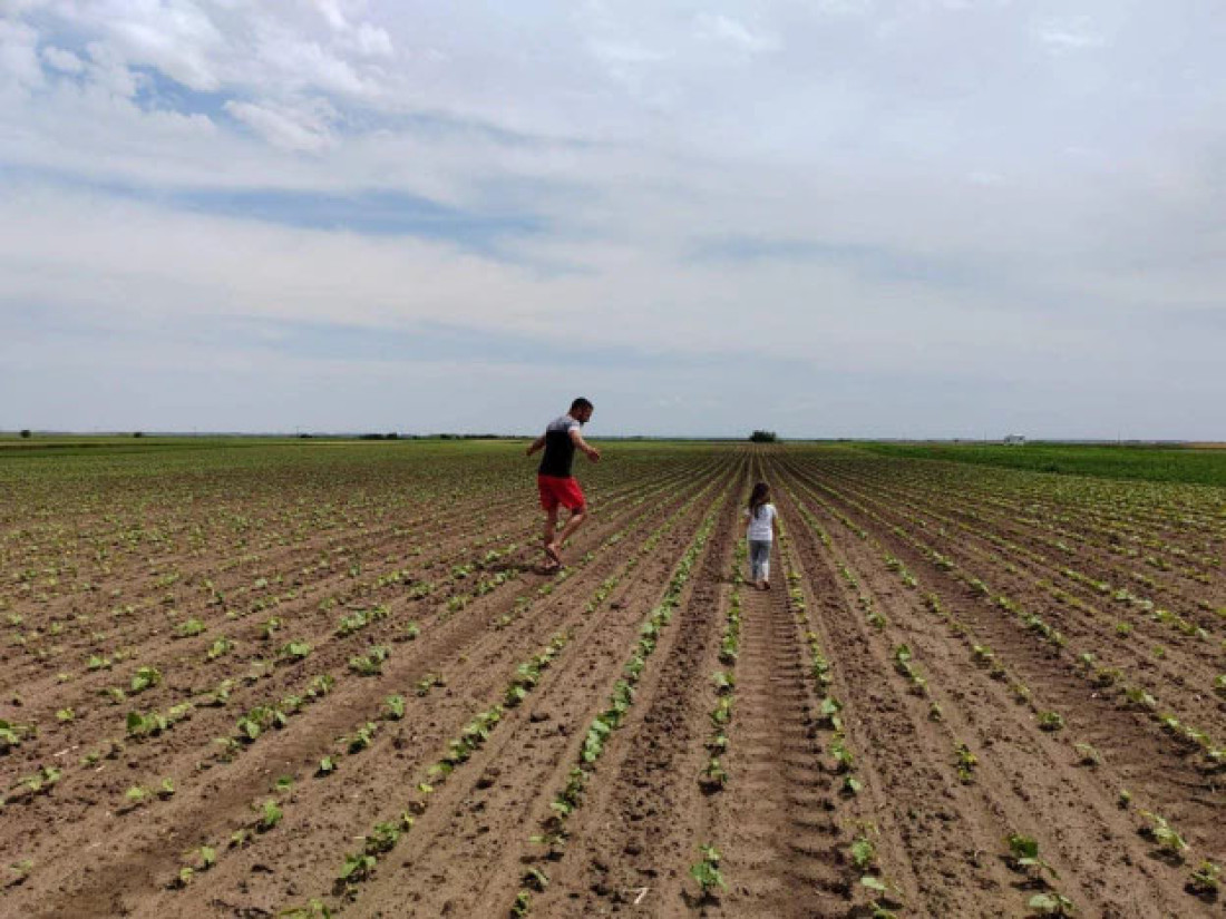 Mladi poljoprivrednik iz Đurđeva pravi neobične namaze! Pakuje mahunarke, a evo kako je razvio posao (FOTO)