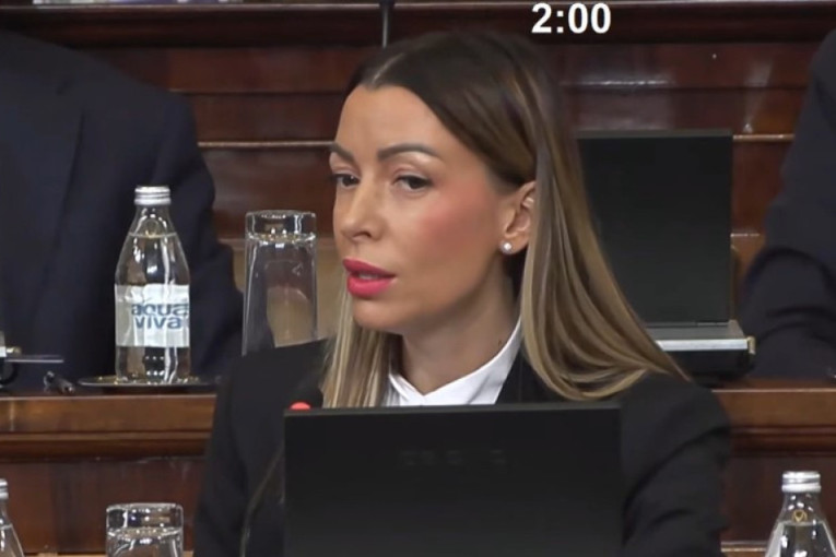 Mesarović: Fokusirani smo na podršku manje razvijenim lokalnim samoupravama