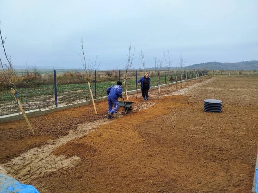 Ovo je jedna od načistijih i najuređenijih opština na istoku Srbije: Posađeno preko 30.000 cvetnica u Kladovu (FOTO)