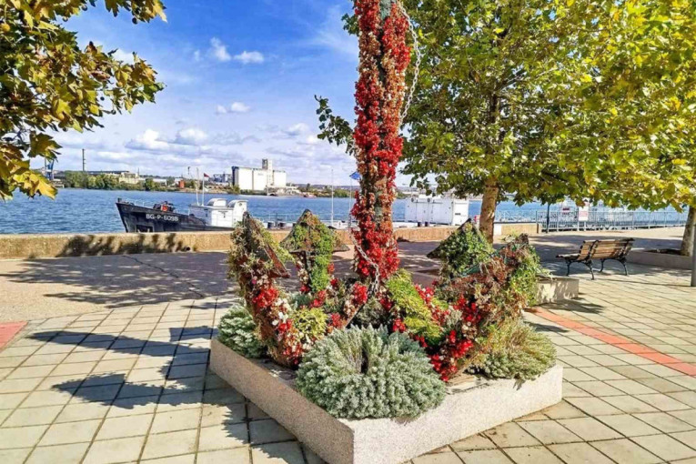 Ovo je jedna od načistijih i najuređenijih opština na istoku Srbije: Posađeno preko 30.000 cvetnica u Kladovu (FOTO)