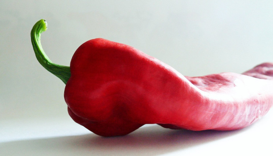 Srpska paprika ide preko granice! Dvojica povrtara udružila snage, očekuju čak 600 tona: Evo koliko sada košta kilogram
