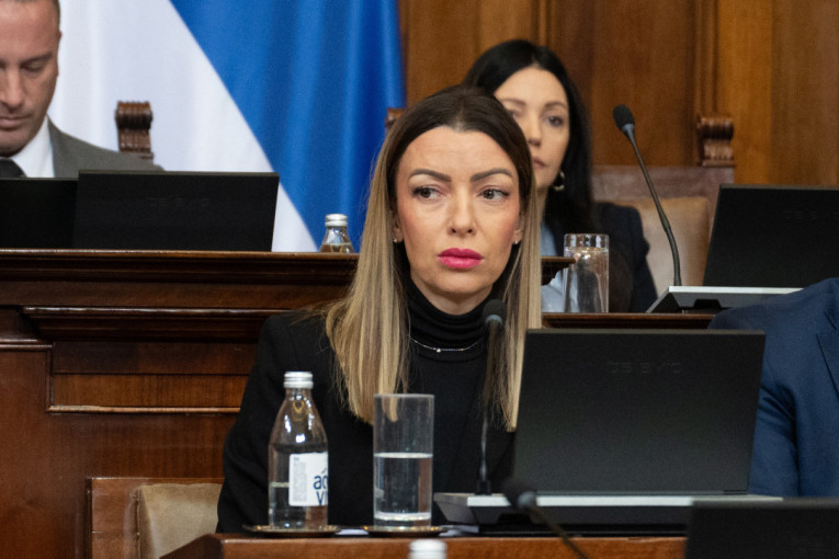 Mesarović: Podrška Selakoviću, pritisci neće zaustaviti njegovu borbu za istinu