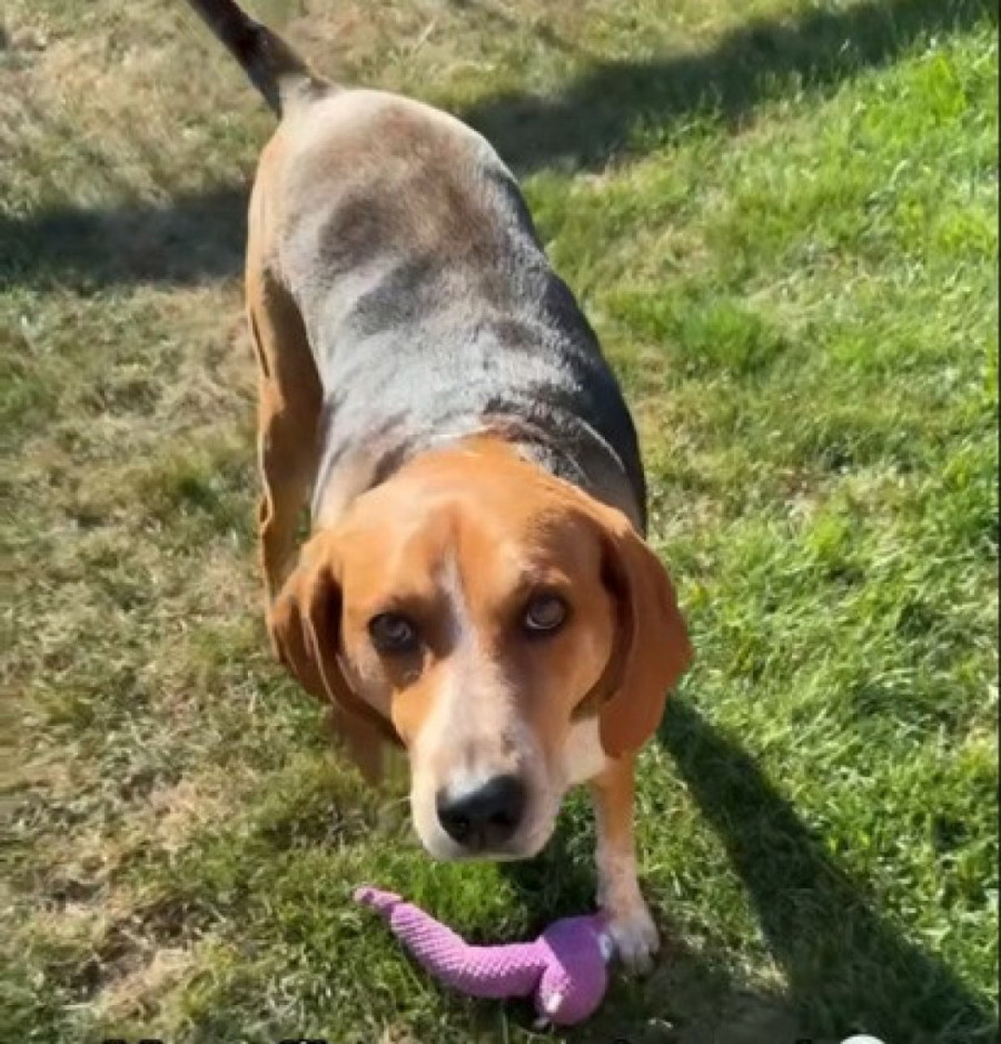 Mislili su da su kupili bigla, a onda ih je sačekalo ogromno iznenađenje (VIDEO)