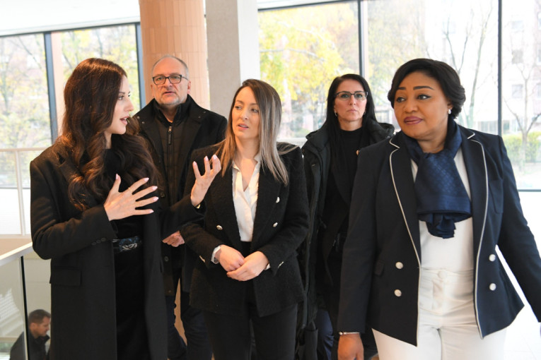 Tamara Vučić i supruga predsednika Konga posetile Institut za rani razvoj dece