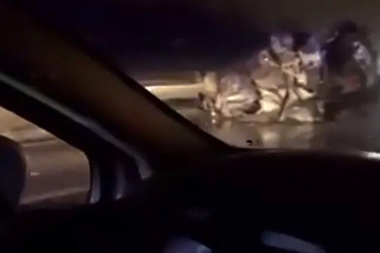 Užas na auto-putu kod Mladenovca: Auto uništen, završio na krovu! (VIDEO)