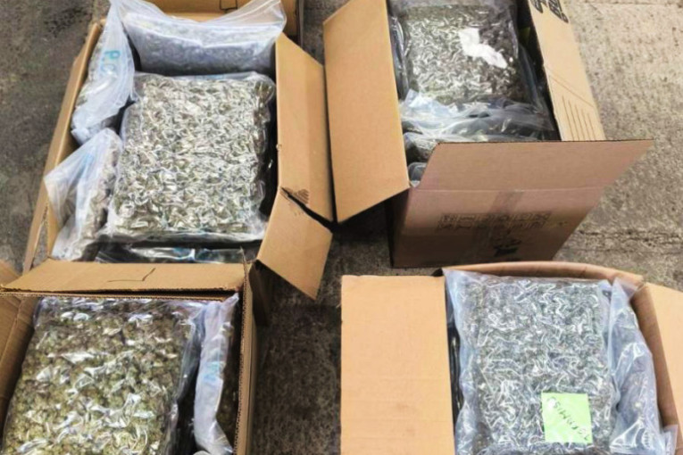 Velika akcija na granici: Policija u kamionu pronašla 43 kg marihuane, vozač uhapšen!