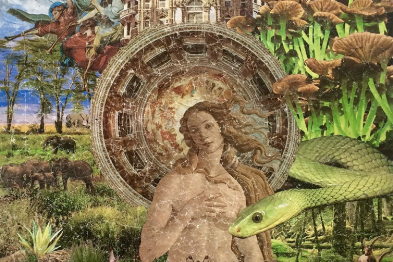 Od Kruševca do privatne kolekcije oca Anđeline Džoli: Izložba "Izvor" Biljane Mišić na Kolarcu (FOTO)