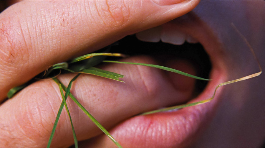 Natera vas da podlegnete požudi, a zatim vam potpuno uništi dušu: Kritičari oduševljeni "Orkanskim visovima" (FOTO/VIDEO)