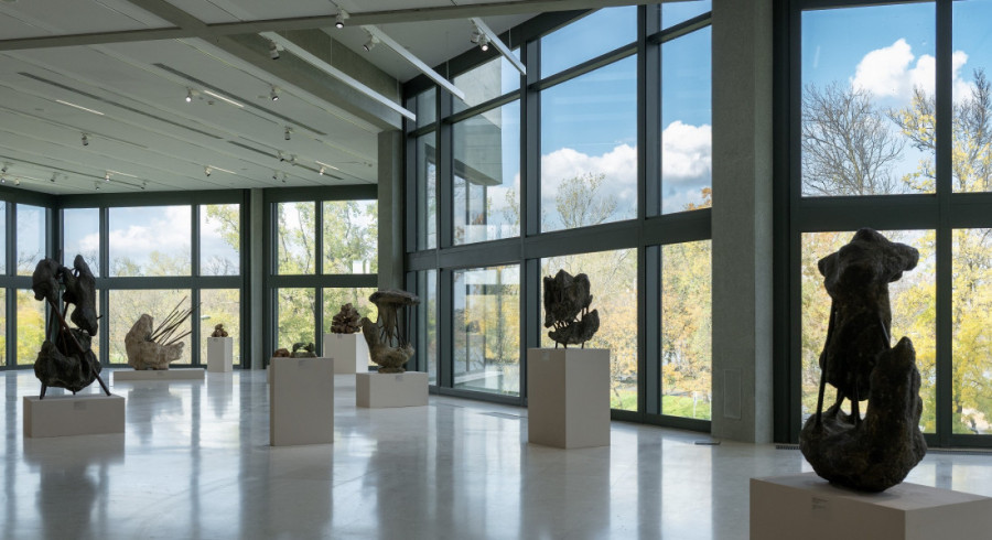 Besplatan ulaz, uz izuzetno bogat program, u Muzeju savremene umetnosti povodom Dana državnosti (FOTO)