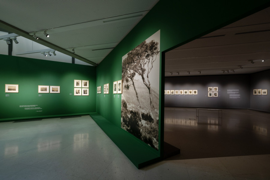 Decembarska javna vođenja i prateći programi u okviru četiri izložbe Muzeja savremene umetnosti u Beogradu (FOTO)