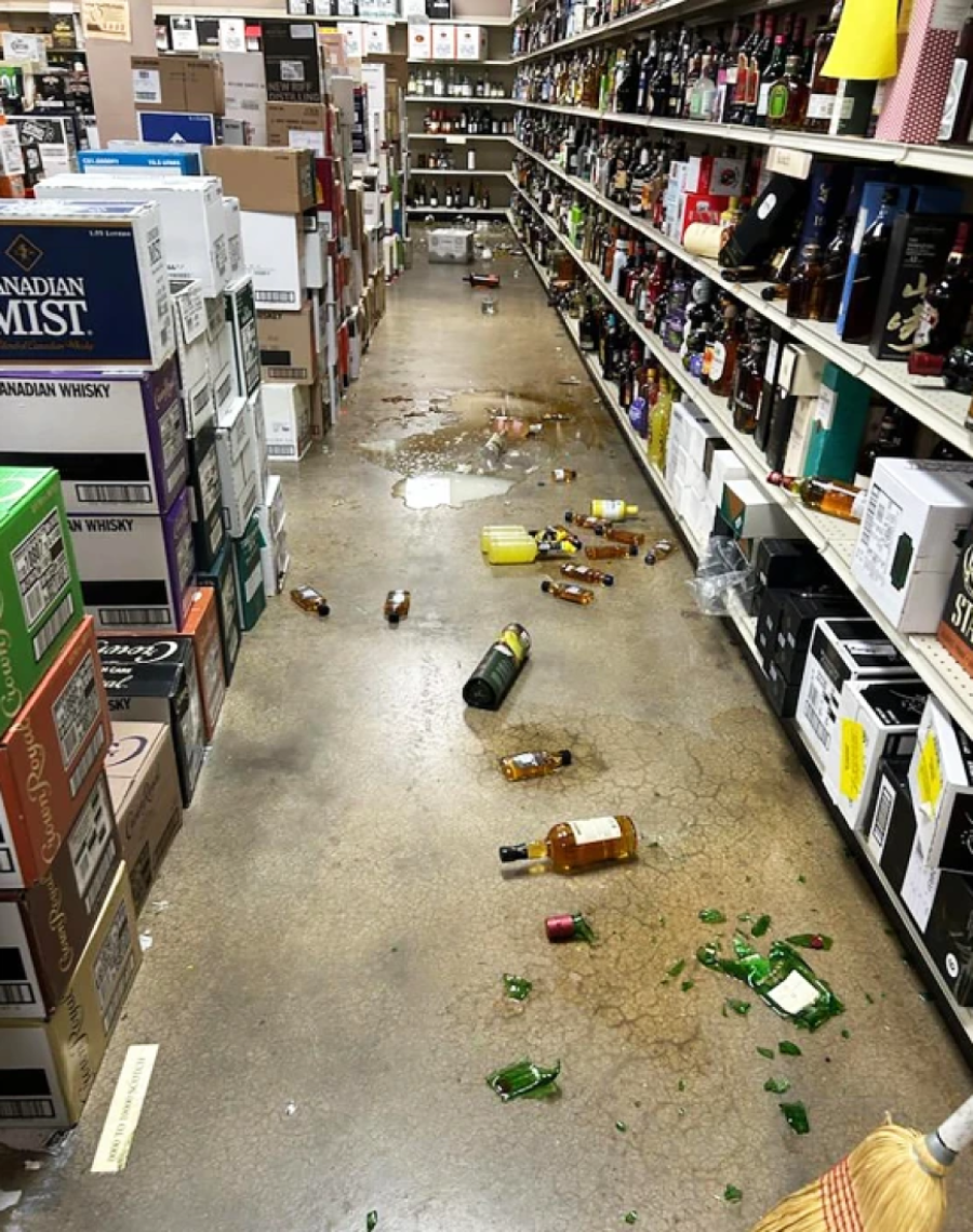 Rakun provalio u prodavnicu alkohola, napio se do besvesti i zaspao u toaletu (FOTO/VIDEO)