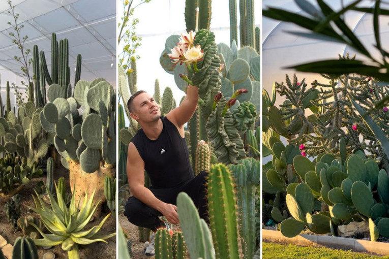 Izmene iz Ministarstva poljoprivrede: Nova vrsta podsticaja za stočare