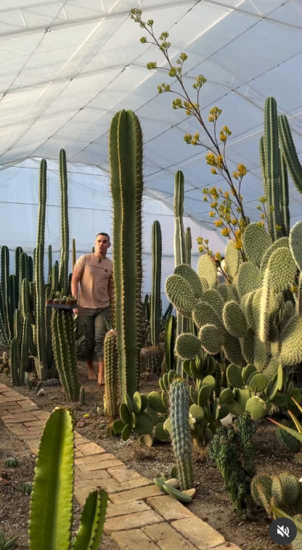 Milan među kaktusima: Zavirite u prvu mediteransku botaničku baštu u Srbiji! (FOTO/VIDEO)