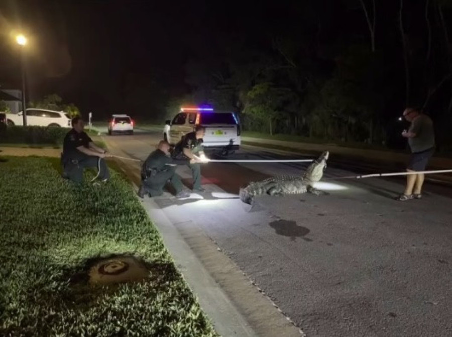 Iran pogubio čoveka: Obešen zbog investicione prevare!