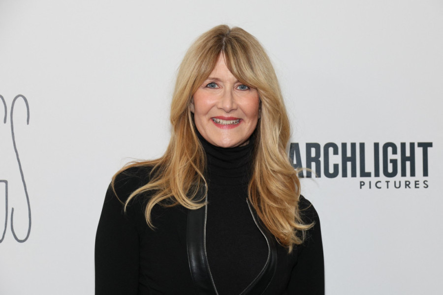 Nećete verovati zbog čega je Lora Dern izgubila neverovatnih 150 uloga: Glumica otkrila šokantnu istinu (FOTO)