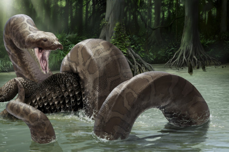 Posle njegove smrti celo morsko dno pravi "gozbu": Od jednog stvorenja mnoga druga žive i do pola veka (FOTO)