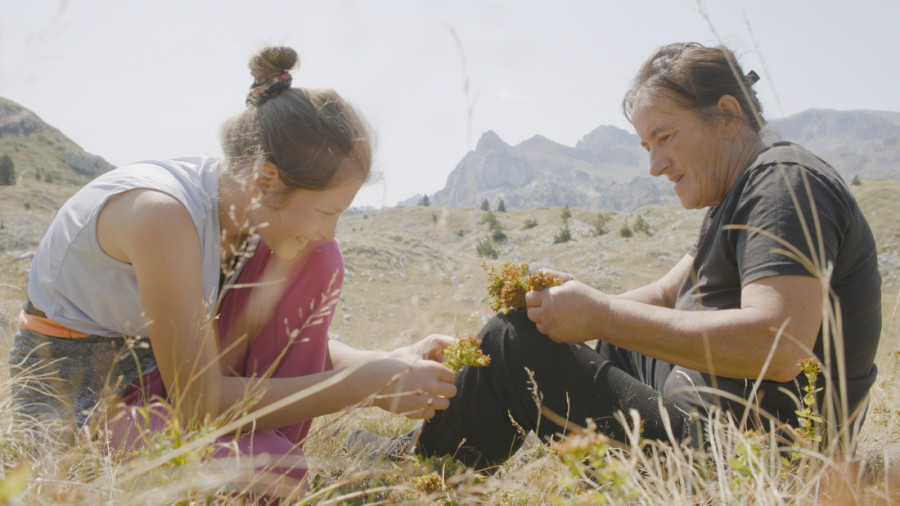 Srpsko-crnogorski film "Planina" osvojio veliko priznanje na čuvenom Sandens festivalu: Dirljiva istinita priča o borbi majke i ćerke (FOTO)