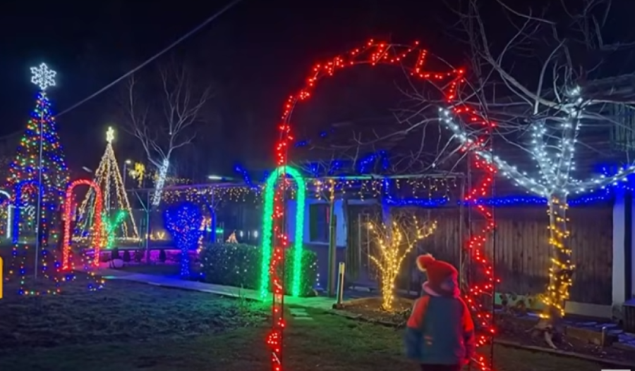 Kad strast stvara magiju: Valentin (16) napravio kilometar dugu instalaciju, a jedan Nemac već dve decenije pali 45.000 lampica (FOTO)