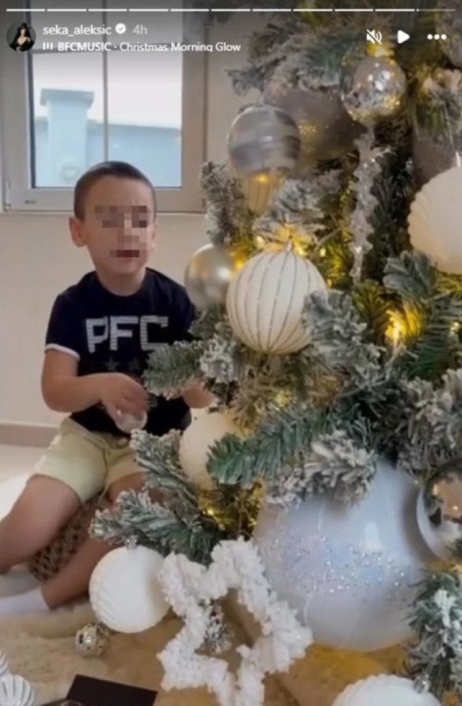 Novogodišnja bajka u domu Seke Aleksić: Pogledajte kako je sa sinom okitila dom u Pazovi (FOTO)
