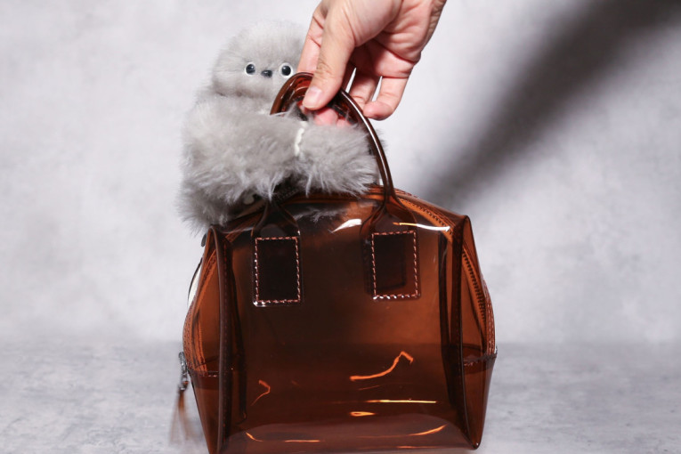 "Čarobna zima" kod Arene: Klizalište, topla čokolada, nezaboravne predstave i mesec dana prazničnog spektakla!