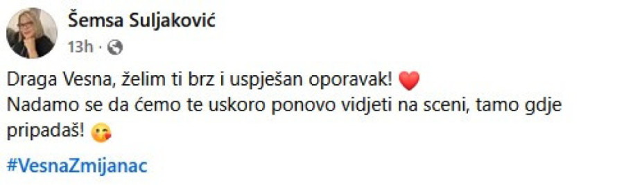 Zmijančevoj ova koleginica javno poslala poruku podrške: Nadam se da ćemo te uskoro videti na sceni, gde pripadaš!