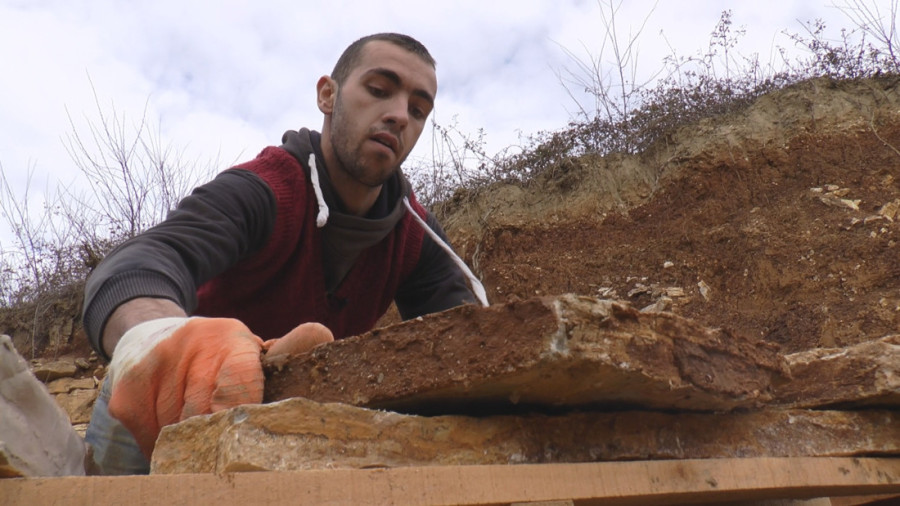 Dok vršnjaci maštaju o gradu, oni biraju štalu i pašu: Brat i sestra iz ovog kraja Srbije nose farmu na leđima i ništa im nije teško!