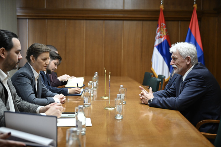 Brnabić primila u oproštajnu posetu odlazećeg ambasadora Ukrajine Tolkača