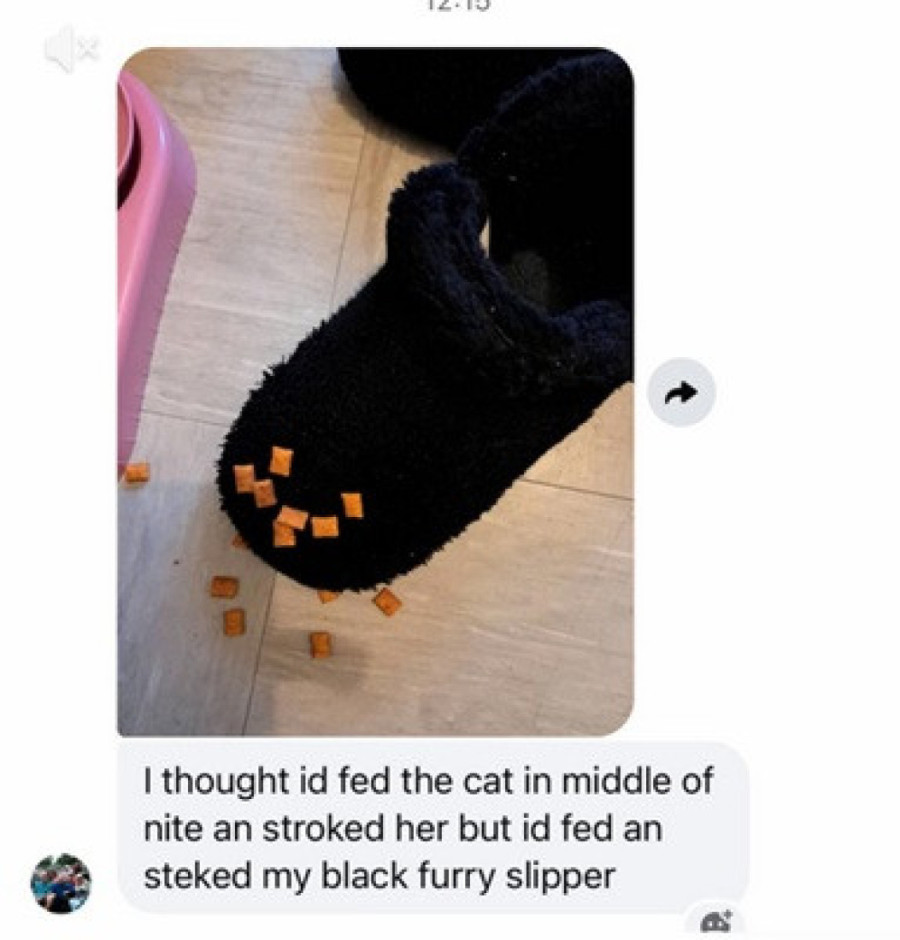 Baka nahranila papuču umesto mačke i postala hit na TikToku (FOTO)