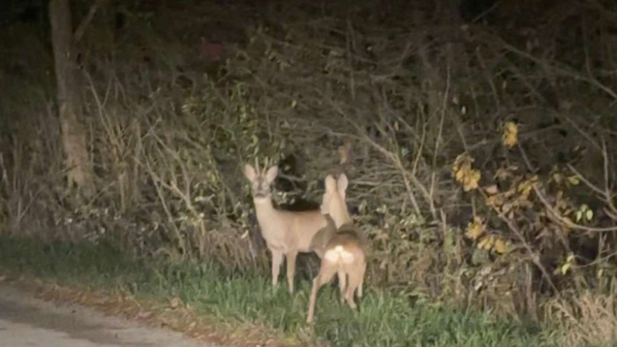 Stravičan prizor u Kuršumliji: Muškarac (48) se polio benzinom i zapalio!