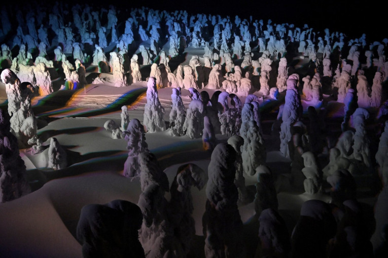 Japan otkriva misteriju snežnih čudovišta: Prirodni fenomen koji je fascinirao ceo svet (FOTO)