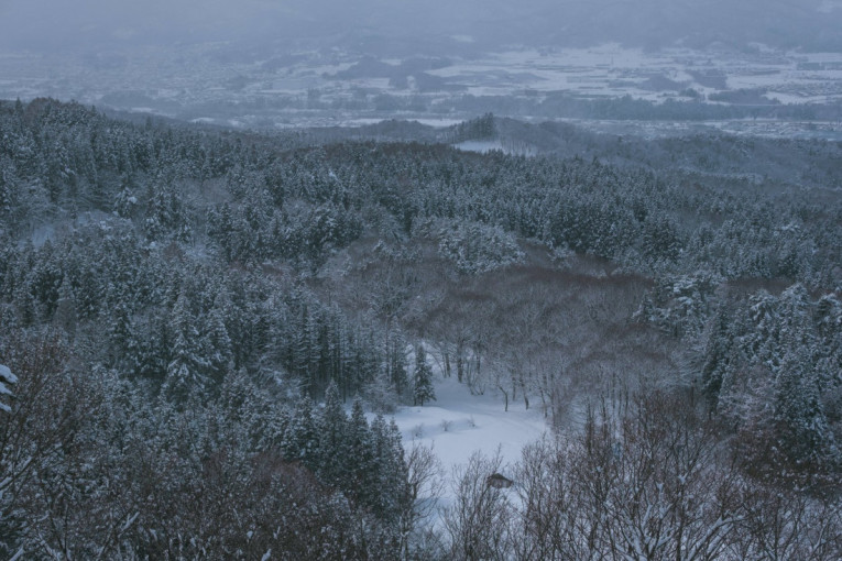 Japan otkriva misteriju snežnih čudovišta: Prirodni fenomen koji je fascinirao ceo svet (FOTO)