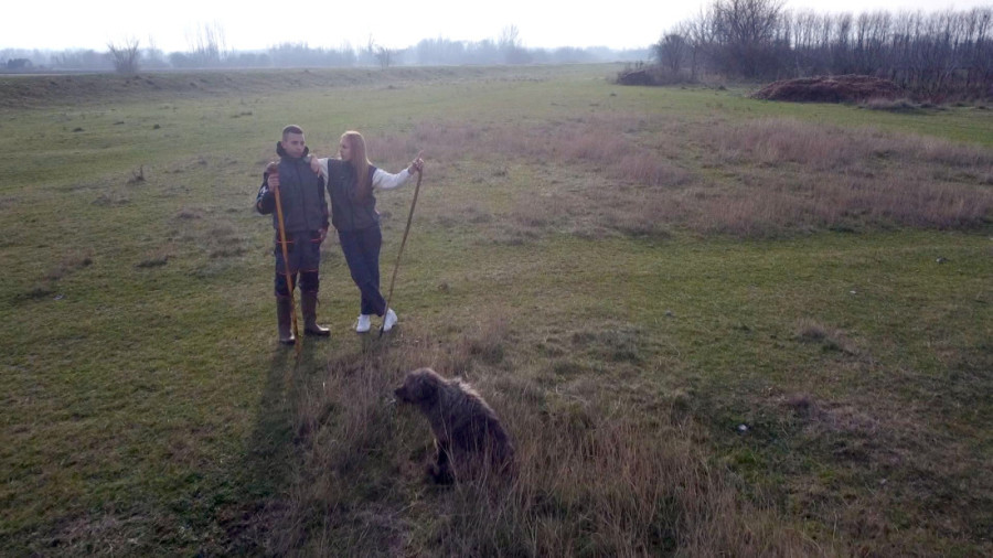 Dok vršnjaci maštaju o gradu, oni biraju štalu i pašu: Brat i sestra iz ovog kraja Srbije nose farmu na leđima i ništa im nije teško!