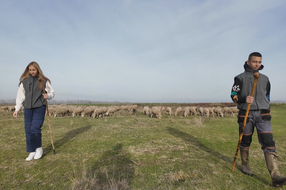 Dok vršnjaci maštaju o gradu, oni biraju štalu i pašu: Brat i sestra iz ovog kraja Srbije nose farmu na leđima i ništa im nije teško!