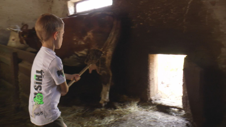 Njegove ruke su male, ali spremne da pomognu: Bogdan (7) sa dedom radi mnoge poslove na imanju (FOTO)