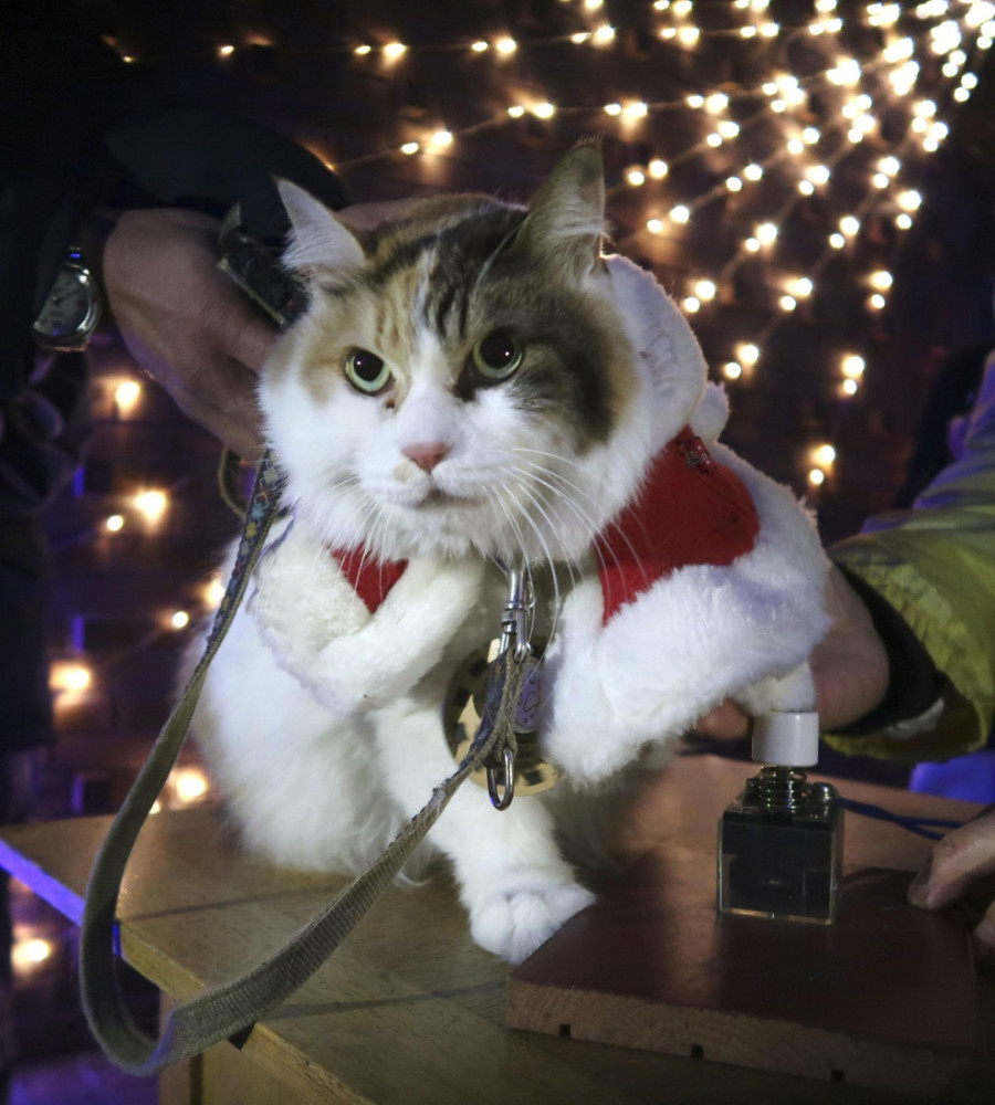 Omiljena šefica stanice preminula u 15. godini: Više od 500 ljudi ispratilo Nitamu na večni počinak (FOTO)