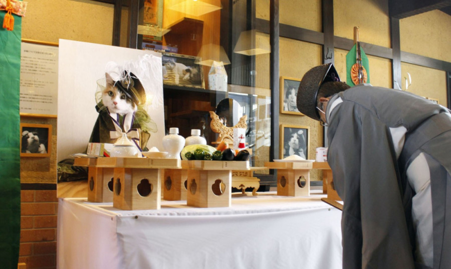 Omiljena šefica stanice preminula u 15. godini: Više od 500 ljudi ispratilo Nitamu na večni počinak (FOTO)